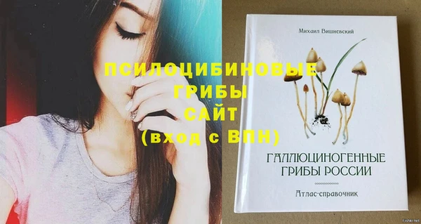 стаф Алзамай