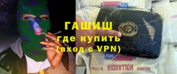 стаф Алзамай