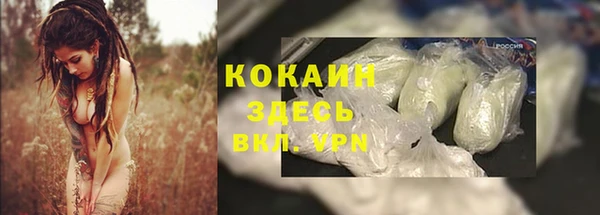 крисы Алексин