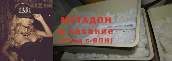стаф Алзамай