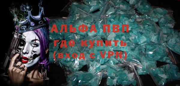 стаф Алзамай
