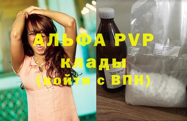 стаф Алзамай