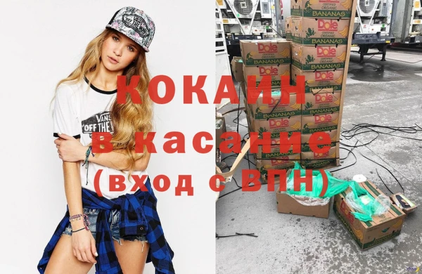 стаф Алзамай