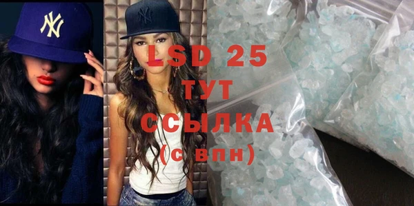 стаф Алзамай